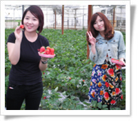 딸기농장방문
